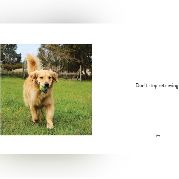 Animal Puns: Quack Me Up Book - Picture 3 of 7